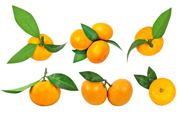 Wall Mural - Set of tangerines with leaf and tangerine leaves isolated on white background.