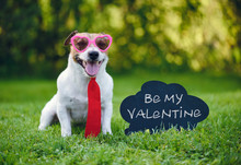 Valentines Card Greeting With Dog Wearing Tie And Glasses Next To Inscription On Blackboard  "Be My Valentine"