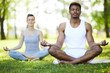 © pressmaster - Calm concentrated young multi-ethnic yoga students sitting with crossed legs on grass and touching fingers in mudra while meditating in summer park