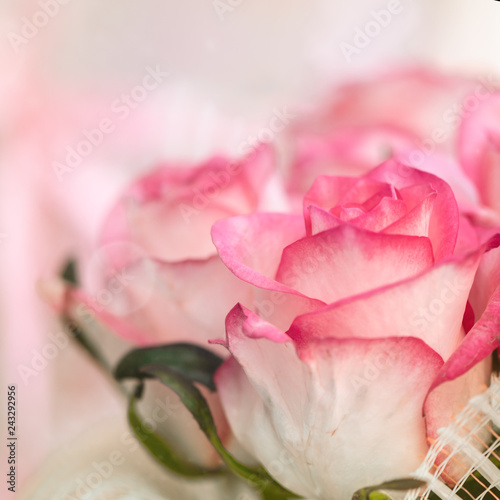 Fotografiet Blur defocus flower background. Pink roses texture