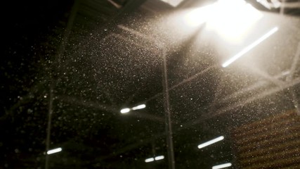 Wall Mural - Dust Flies Indoors.