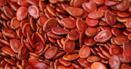 Canvas Print - Red watermelon seed