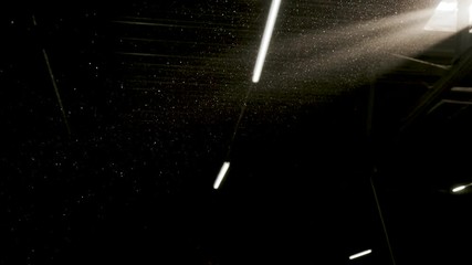 Wall Mural - Throwing Toilet Paper Into The Air.