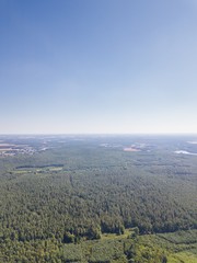  Forest seen from above.  Beautiful drone landscape.