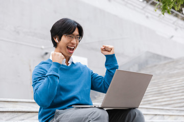 Sticker - Smiling asian business man using laptop computer