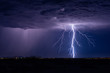 canvas print picture - Lightning bolt storm