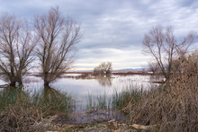 Restored Ponds And Marshes In Sacramento National Wildlife Refuge On A Cloudy Day, California