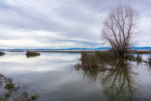 Restored Ponds And Marshes In Sacramento National Wildlife Refuge On A Cloudy Day, California