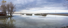The Marshes Of Llano Seco Unit On A Cloudy Day, Sacramento National Wildlife Refuge, California