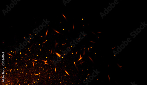 Cuadros en Lienzo Perfect fire particles embers sparks on black background