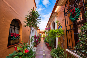 Wall Mural - Oaxaca, Scenic old city streets and colorful colonial buildings in historic city center