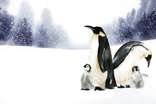 Penguins In A Winter Wonderland Watercolor Vector