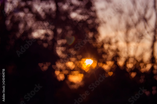 Fotografiet Defocus bokeh light of sun heart in foliage glare sunset background texture