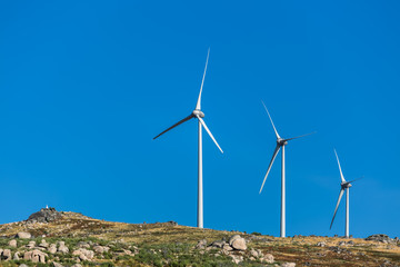 Wall Mural - View of a wind turbines on top of mountains