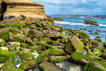 Wall Mural - Beautiful Morning Hike in La Jolla, California