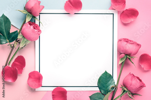 Rose petals on blank card