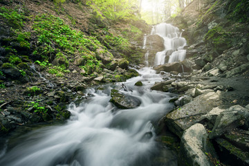 Wall Mural - waterfall in the forest among black stones