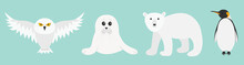 White Bear, Owl, King Penguin Emperor Aptenodytes Patagonicus, Seal Pup Baby Harp. Arctic Polar Animal Set. Kids Education Cards. Flat Design. Winter Antarctica Blue Background.