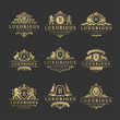 Luxury logos monograms crest design templates set vector illustration.