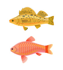Wall Mural - Jewel Cichlid and Yellow Fish Vector Illustration