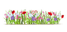 Flowerbed. Set Of Wild Forest And Garden Flowers. Spring Concept. Flat Vector Flower Illustration Isolate On A White Background.