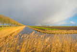 Fototapeta Tęcza - Rainbow over canal and fields in sunlight in winter 