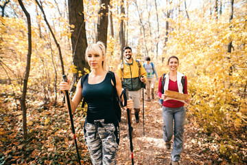 Poster - Happy small group of hikers exploring the woods in autumn.