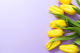 Fototapeta Tulipany - Yellow tulips on lilac background. Spring card with copy space. 