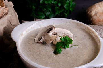 Cream soup made from mushrooms with bread