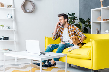 handsome smiling man using smartphone and laptop on sofa with dog