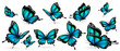 beautiful blue butterflies, isolated  on a white