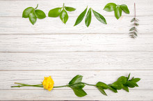 Bright Background With Green Leaves And Yellow Rose, Flat Lay, Copy Space