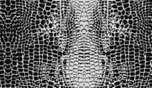 Seamless Crocodile Skin Pattern