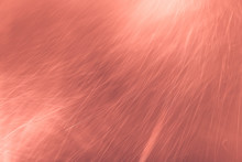 Pink Salmon Texture Dust Particules