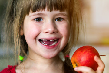 Poster - A cute little curly toothless girl smiles and holds a red apple. Portrait of a happy baby eating a red apple. The child loses milk teeth. Healthy food nutrition.