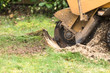 © irma07 - Stump grinder in action, close up