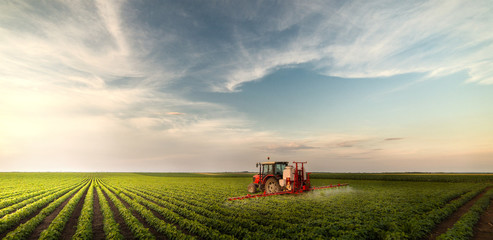 tractor spraying pesticides at soy bean field