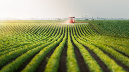 tractor spraying pesticides at soy bean field