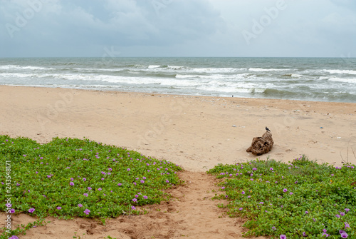 Fotografia, Obraz Beach in Mamallapuram, Tamil Nadu, India