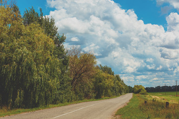 Asphalt country road on a sunny summer day