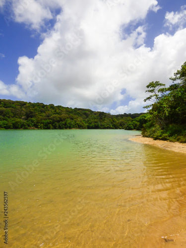 Fotografie, Obraz A view of Lagoa da Mata, beautiful lagoon surrounded by preserved Atlantic Fores
