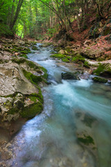 Wall Mural - Mountain river in summer. Water stream at forest. Composition of nature