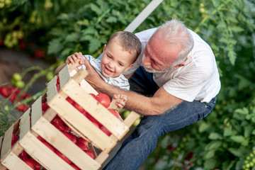 Wall Mural - Grandpa and grandson workking in garden