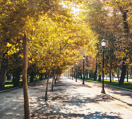 Canvas Print - Forestal Park in downtown Santiago - Santiago, Chile