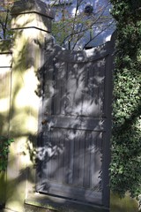 Wall Mural - Old wooden gate