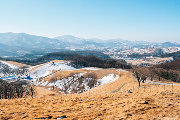 Sticker - Winter mountain at Daegwallyeong sheep ranch in Pyeongchang, Korea