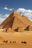 pyramids giza cairo in egypt with camel caravane panoramic scenic view