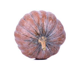 Poster - pumpkin isolated on the white background