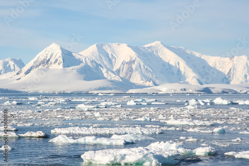 Antarctic icebergs in the waters of the ocean Tableau sur Toile