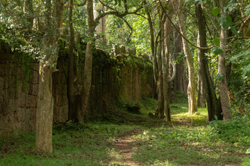  Footpath through trees along stone temple wall
